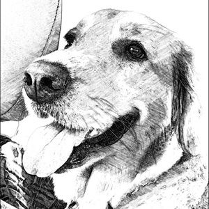 Meet your Posher, Wayne